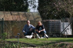 Abschied von unseren Enten. IMG_8381