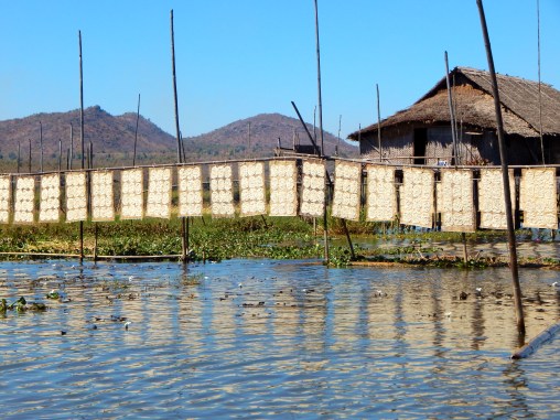 Nudeln trocknen am Inle Lake, Myanmar